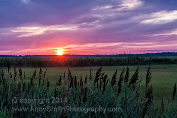 53 Sunset Over the Marsh